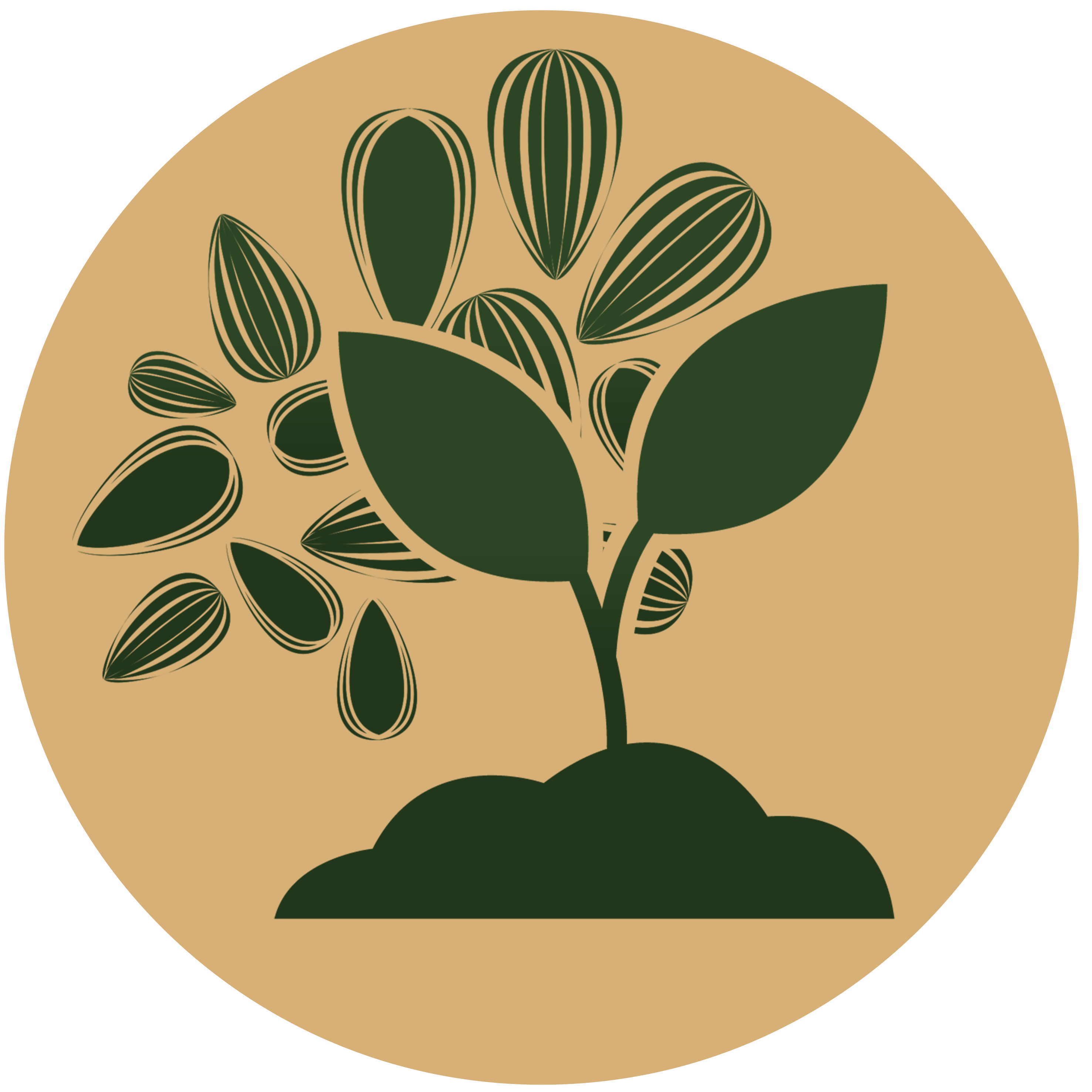 Seeds Icon